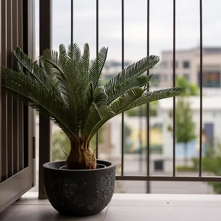 Daire Zigzag Waterfront Aqua Belgrad